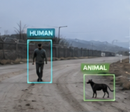 Person and animal marked by detection boxes